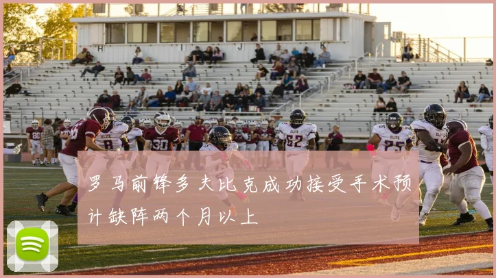 罗马前锋多夫比克成功接受手术预计缺阵两个月以上